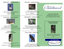 field guide - City of Beachwood
