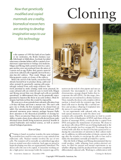 Scientific American, December 1998, 279