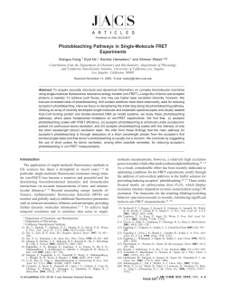 Photobleaching Pathways in Single
