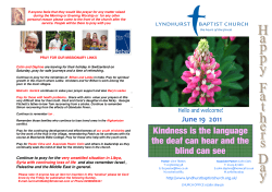 New SNB.pub - Lyndhurst Baptist Church