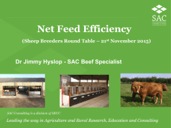 Net Feed Efficiency - National Sheep Association