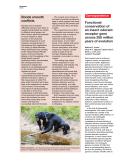 Functional conservation of an insect odorant receptor