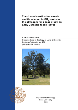 The Jurassic extinction events and its relation to CO levels in the