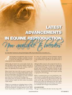 Now available to breeders
