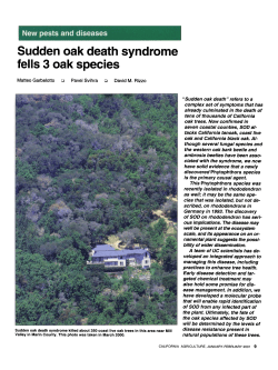 Sudden oak death syndrome fells 3 oak species
