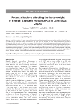 Potential factors affecting the body weight of bluegill Lepomis