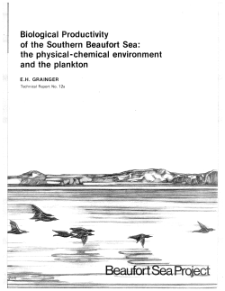 Biological Productivity of the Southern Beaufort Sea
