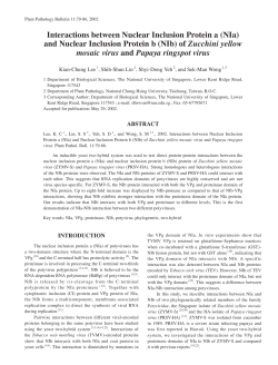 Interactions between Nuclear Inclusion Protein a (NIa) and Nuclear