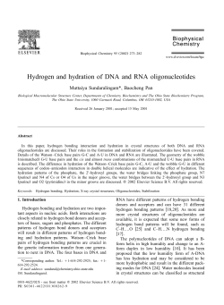 Hydrogen and hydration of DNA and RNA oligonucleotides