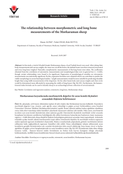 The relationship between morphometric and long bone