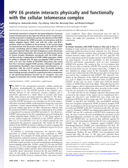 HPV E6 protein interacts physically and functionally with the cellular