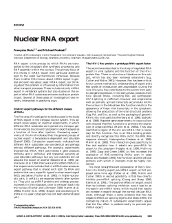 Nuclear RNA export - Brandeis Life Sciences