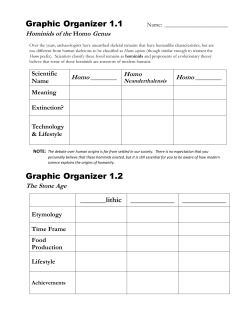 Stone Age Graphic Organizers
