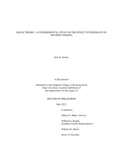 Image Theory: An Experimental Study of the Effect of Feedback on