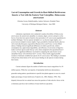 Larval Consumption and Growth in Host-Shifted