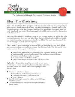 fiber layout - University of Georgia