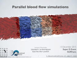 Parallel blood flow simulations