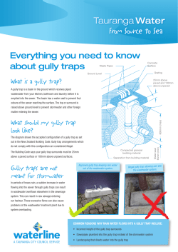 Everything you need to know about gully traps