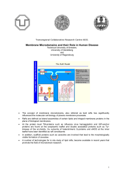 Membrane Microdomains and their Role in Human Disease