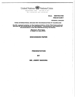Discussion paper of Mr. Jimmy Naouna of the Melanesian