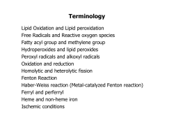 Lipid Oxidation &ndash; an Overview