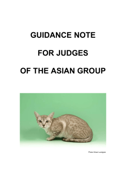 Guidelines for Probationer Judges