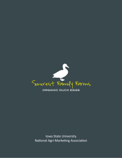 organic Duck eggs - National Agri