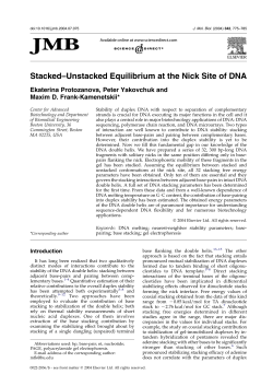Stacked&ndash;Unstacked Equilibrium at the Nick Site of DNA