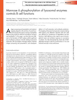 Mannose 6 phosphorylation of lysosomal enzymes controls B cell