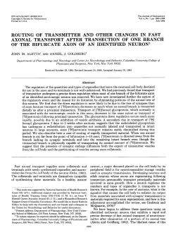 routing of transmitter and other changes in fast axonal transport after