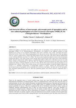 Anti-bacterial efficacy of macroscopic, microscopic parts of