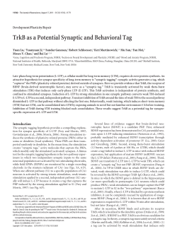 TrkB as a Potential Synaptic and Behavioral Tag