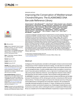 Improving the Conservation of Mediterranean Chondrichthyans: The