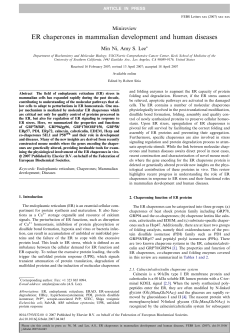 ER chaperones in mammalian development and human diseases