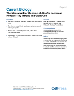 The Macronuclear Genome of Stentor coeruleus Reveals Tiny