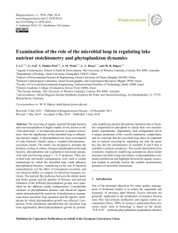 Examination of the role of the microbial loop in