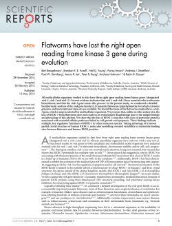 Flatworms have lost the right open reading frame kinase 3 gene