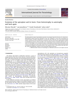 as a PDF