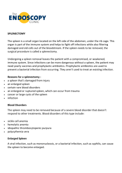 SPLENECTOMY The spleen is a small organ located on the left side