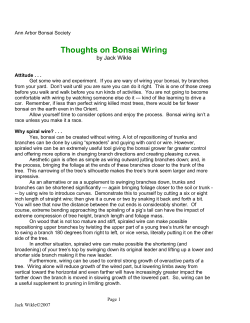 Thoughts on Bonsai Wiring