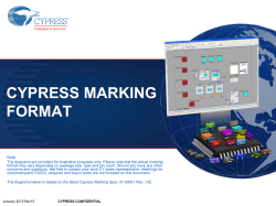 Cypress Marking Format