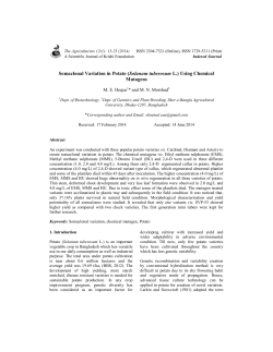 Somaclonal Variation in Potato