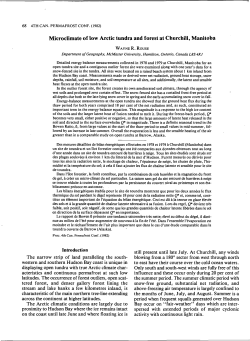 Microclimate of low Arctic tundra and forest at Churchill, Manitoba
