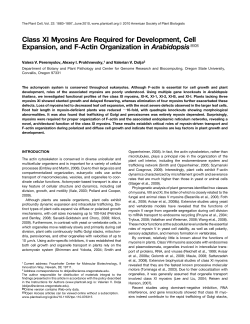 Class XI Myosins Are Required for Development