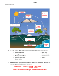 THE CARBON CYCLE 1. Fill in the diagram of the