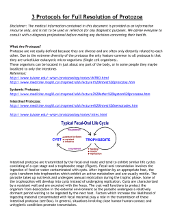 3 Protocols for Full Resolution of Protozoa