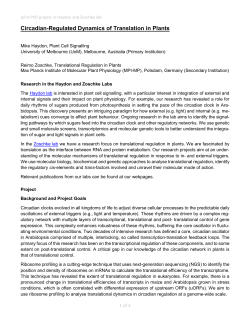 here - WordPress at The University of Melbourne