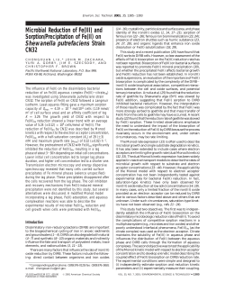Microbial Reduction of Fe(III) and Sorption/Precipitation of Fe(II) on