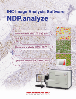 Analysis Software - NDP.analyze