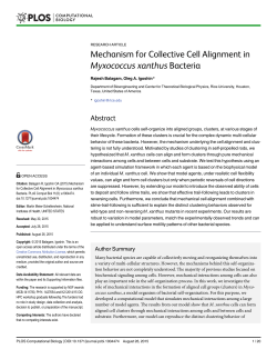 Mechanism for Collective Cell Alignment in Myxococcus xanthus